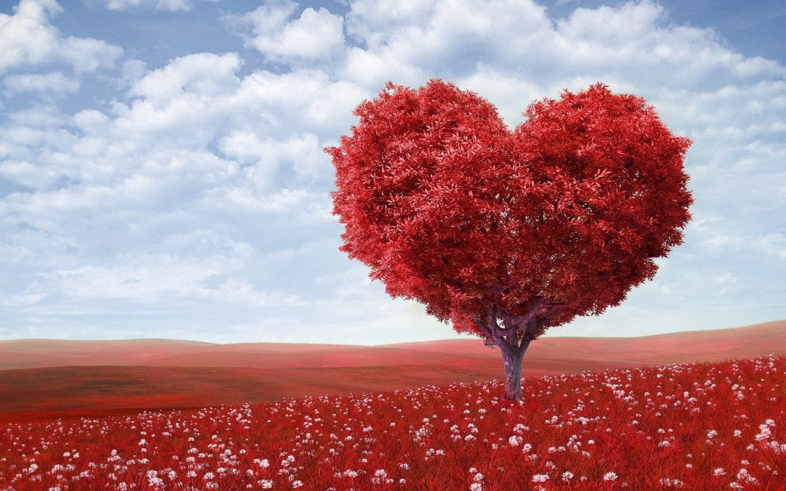 A coeur ouvert