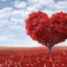 A coeur ouvert